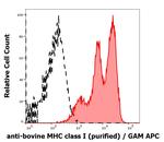 MHC Class I Monoclonal Antibody (IVA26)