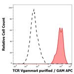 TCR V gamma 4 Monoclonal Antibody (4A11.904)