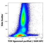 TCR V gamma 4 Antibody in Flow Cytometry (Flow)
