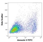 TRAIL Monoclonal Antibody (2E5)