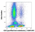 CD2 Antibody in Flow Cytometry (Flow)