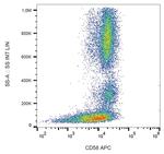 CD58 Monoclonal Antibody (MEM-63), APC