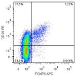 FOXP3 Antibody in Flow Cytometry (Flow)
