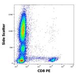 CD8 Antibody in Flow Cytometry (Flow)