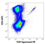 TCR V gamma 4 Antibody in Flow Cytometry (Flow)