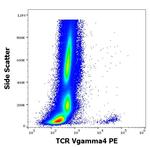 TCR V gamma 4 Antibody in Flow Cytometry (Flow)