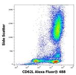 CD62L Antibody in Flow Cytometry (Flow)