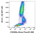 CD300a Antibody in Flow Cytometry (Flow)
