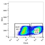 Ki-67 Antibody in Flow Cytometry (Flow)