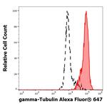 gamma Tubulin Monoclonal Antibody (TU-30), Alexa Fluor™ 647