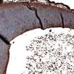 SALL4 Antibody in Immunohistochemistry (Paraffin) (IHC (P))