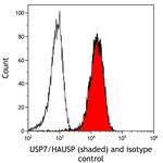 USP7 Antibody in Flow Cytometry (Flow)