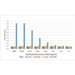5-Formylcytosine (5-fC) Recombinant Rabbit Monoclonal Antibody (RM477)