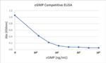 cGMP Antibody in ELISA (ELISA)