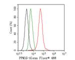 PPM1G Antibody in Flow Cytometry (Flow)