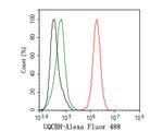 UQCRH Antibody in Flow Cytometry (Flow)