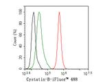 Cystatin B Antibody in Flow Cytometry (Flow)