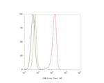 CHM Antibody in Flow Cytometry (Flow)