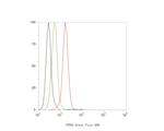 PPP6C Antibody in Flow Cytometry (Flow)