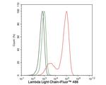 Lambda light chain Antibody in Flow Cytometry (Flow)