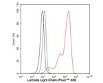 Lambda light chain Antibody in Flow Cytometry (Flow)