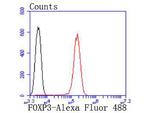FOXP3 Antibody in Flow Cytometry (Flow)