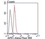 APE1 Antibody in Flow Cytometry (Flow)