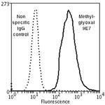 Methylglyoxal Monoclonal Antibody (9E7), FITC