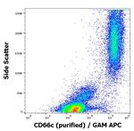CEACAM6 Antibody in Flow Cytometry (Flow)