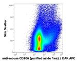 VCAM-1 Antibody in Flow Cytometry (Flow)