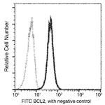 Bcl-2 Recombinant Rabbit Monoclonal Antibody (204), FITC