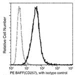 BAFF Recombinant Rabbit Monoclonal Antibody (182), PE