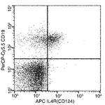 IL4R Recombinant Rabbit Monoclonal Antibody (209), APC
