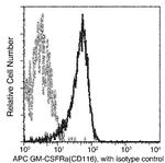 CD116 Recombinant Rabbit Monoclonal Antibody (009), APC