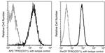 Transferrin Receptor Antibody in Flow Cytometry (Flow)