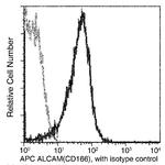 CD166 Recombinant Rabbit Monoclonal Antibody (311), APC
