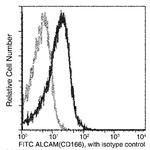 CD166 Recombinant Rabbit Monoclonal Antibody (311), FITC