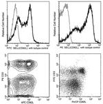 CD62L Antibody in Flow Cytometry (Flow)