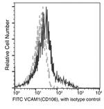 VCAM-1 Antibody in Flow Cytometry (Flow)