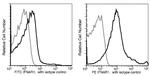 IFNAR1 Antibody in Flow Cytometry (Flow)