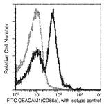 CEACAM1 Recombinant Rabbit Monoclonal Antibody (117), FITC