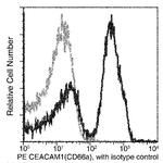 CEACAM1 Recombinant Rabbit Monoclonal Antibody (117), PE