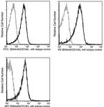 CD100 Recombinant Rabbit Monoclonal Antibody (010), PE