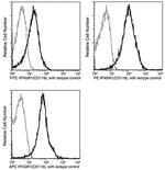 IFNGR1 Recombinant Rabbit Monoclonal Antibody (062), FITC