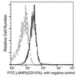 LAMP2 Recombinant Rabbit Monoclonal Antibody (141), FITC