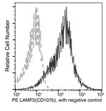 LAMP2 Antibody in Flow Cytometry (Flow)