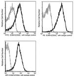 ICAM-1 Antibody in Flow Cytometry (Flow)