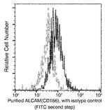CD166 Recombinant Rabbit Monoclonal Antibody (018), FITC