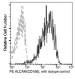 CD166 Recombinant Rabbit Monoclonal Antibody (018), PE
