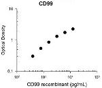 CD99 Antibody in ELISA (ELISA)